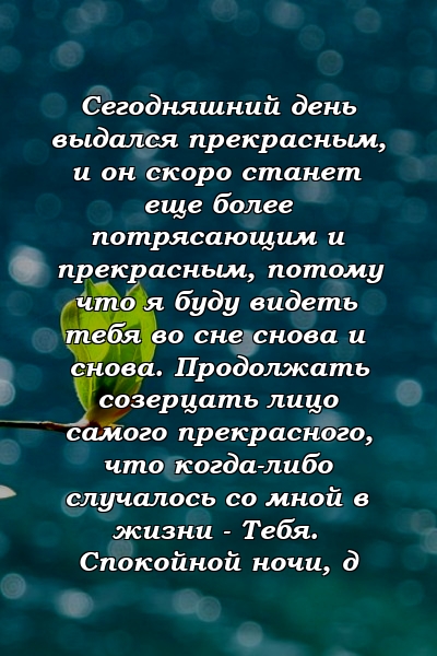 Сегодняшний день выдался прекрасным, и он скоро станет еще более потрясающим и прекрасным, потому что я буду видеть тебя во сне снова и снова. Продолжать созерцать лицо самого прекрасного, что когда-либо случалось со мной в жизни - Тебя. Спокойной ночи, д