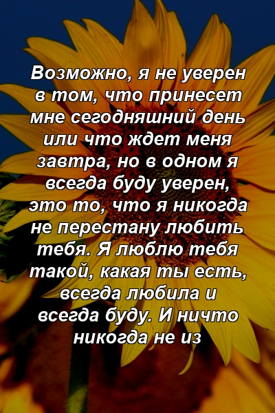 Возможно, я не уверен в том, что принесет мне сегодняшний день или что ждет меня завтра, но в одном я всегда буду уверен, это то, что я никогда не перестану любить тебя. Я люблю тебя такой, какая ты есть, всегда любила и всегда буду. И ничто никогда не из