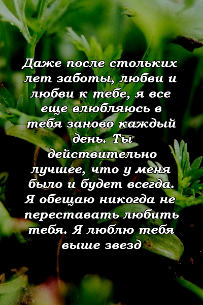 Даже после стольких лет заботы, любви и любви к тебе, я все еще влюбляюсь в тебя заново каждый день. Ты действительно лучшее, что у меня было и будет всегда. Я обещаю никогда не переставать любить тебя. Я люблю тебя выше звезд