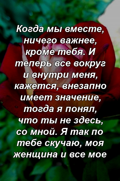 Когда мы вместе, ничего важнее, кроме тебя. И теперь все вокруг и внутри меня, кажется, внезапно имеет значение, тогда я понял, что ты не здесь, со мной. Я так по тебе скучаю, моя женщина и все мое