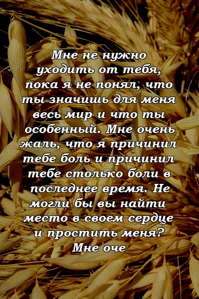 Мне не нужно уходить от тебя, пока я не понял, что ты значишь для меня весь мир и что ты особенный. Мне очень жаль, что я причинил тебе боль и причинил тебе столько боли в последнее время. Не могли бы вы найти место в своем сердце и простить меня? Мне оче