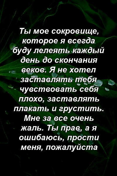 Ты мое сокровище, которое я всегда буду лелеять каждый день до скончания веков. Я не хотел заставлять тебя чувствовать себя плохо, заставлять плакать и грустить. Мне за все очень жаль. Ты прав, а я ошибаюсь, прости меня, пожалуйста