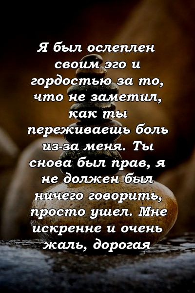 Я был ослеплен своим эго и гордостью за то, что не заметил, как ты переживаешь боль из-за меня. Ты снова был прав, я не должен был ничего говорить, просто ушел. Мне искренне и очень жаль, дорогая