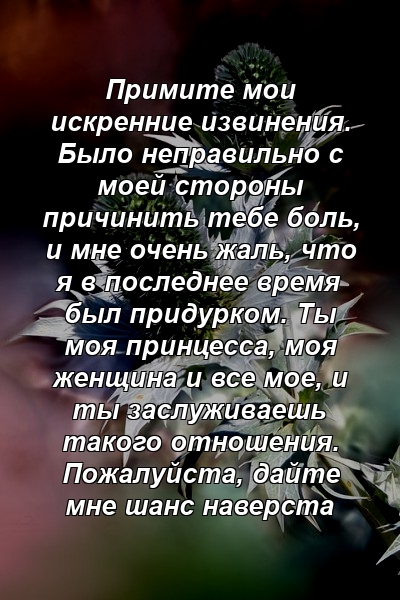 Примите мои искренние извинения. Было неправильно с моей стороны причинить тебе боль, и мне очень жаль, что я в последнее время был придурком. Ты моя принцесса, моя женщина и все мое, и ты заслуживаешь такого отношения. Пожалуйста, дайте мне шанс наверста