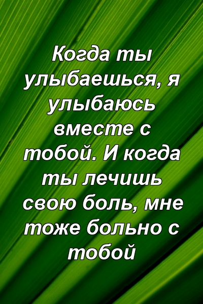 Когда ты улыбаешься, я улыбаюсь вместе с тобой. И когда ты лечишь свою боль, мне тоже больно с тобой