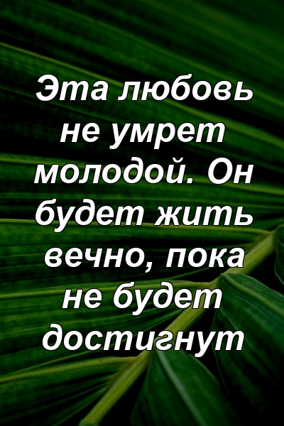 Эта любовь не умрет молодой. Он будет жить вечно, пока не будет достигнут