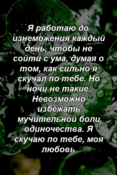 Я работаю до изнеможения каждый день, чтобы не сойти с ума, думая о том, как сильно я скучал по тебе. Но ночи не такие. Невозможно избежать мучительной боли одиночества. Я скучаю по тебе, моя любовь