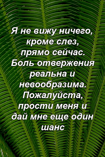 Я не вижу ничего, кроме слез, прямо сейчас. Боль отвержения реальна и невообразима. Пожалуйста, прости меня и дай мне еще один шанс