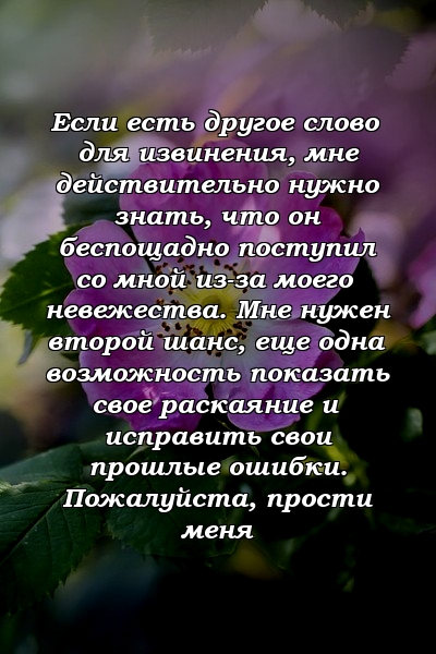 Если есть другое слово для извинения, мне действительно нужно знать, что он беспощадно поступил со мной из-за моего невежества. Мне нужен второй шанс, еще одна возможность показать свое раскаяние и исправить свои прошлые ошибки. Пожалуйста, прости меня