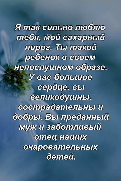 Я так сильно люблю тебя, мой сахарный пирог. Ты такой ребенок в своем непослушном образе. У вас большое сердце, вы великодушны, сострадательны и добры. Вы преданный муж и заботливый отец наших очаровательных детей.