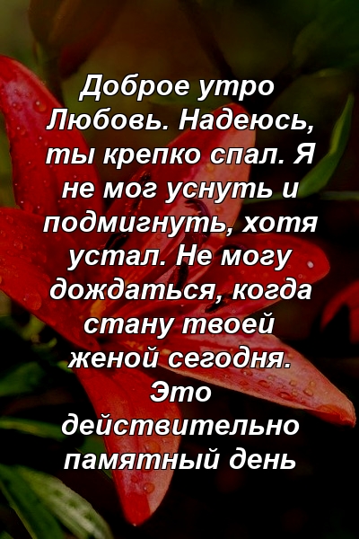 Доброе утро Любовь. Надеюсь, ты крепко спал. Я не мог уснуть и подмигнуть, хотя устал. Не могу дождаться, когда стану твоей женой сегодня. Это действительно памятный день