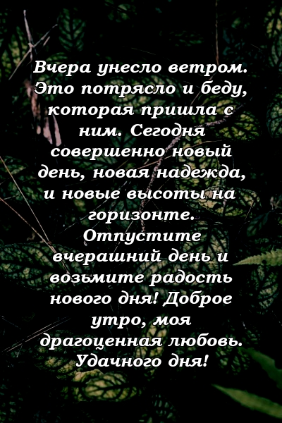 Вчера унесло ветром. Это потрясло и беду, которая пришла с ним. Сегодня совершенно новый день, новая надежда, и новые высоты на горизонте. Отпустите вчерашний день и возьмите радость нового дня! Доброе утро, моя драгоценная любовь. Удачного дня!