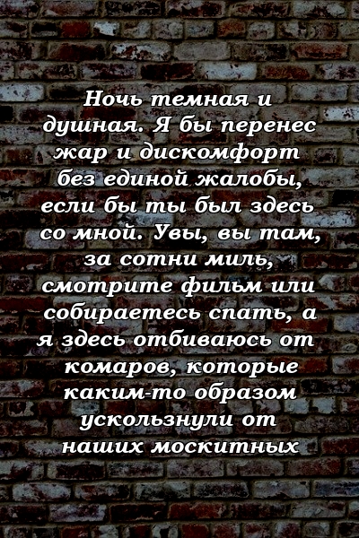 Ночь темная и душная. Я бы перенес жар и дискомфорт без единой жалобы, если бы ты был здесь со мной. Увы, вы там, за сотни миль, смотрите фильм или собираетесь спать, а я здесь отбиваюсь от комаров, которые каким-то образом ускользнули от наших москитных 