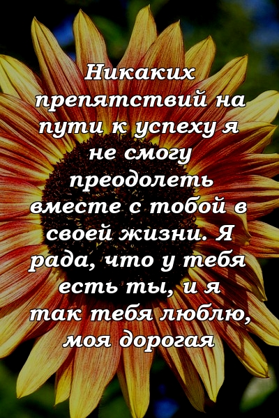 Никаких препятствий на пути к успеху я не смогу преодолеть вместе с тобой в своей жизни. Я рада, что у тебя есть ты, и я так тебя люблю, моя дорогая