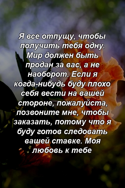 Я все отпущу, чтобы получить тебя одну. Мир должен быть продан за вас, а не наоборот. Если я когда-нибудь буду плохо себя вести на вашей стороне, пожалуйста, позвоните мне, чтобы заказать, потому что я буду готов следовать вашей ставке. Моя любовь к тебе 