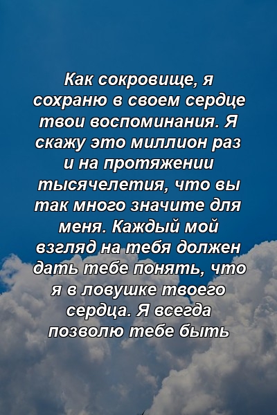 Как сокровище, я сохраню в своем сердце твои воспоминания. Я скажу это миллион раз и на протяжении тысячелетия, что вы так много значите для меня. Каждый мой взгляд на тебя должен дать тебе понять, что я в ловушке твоего сердца. Я всегда позволю тебе быть