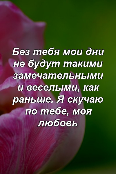 Без тебя мои дни не будут такими замечательными и веселыми, как раньше. Я скучаю по тебе, моя любовь