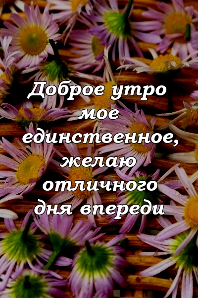 Доброе утро мое единственное, желаю отличного дня впереди