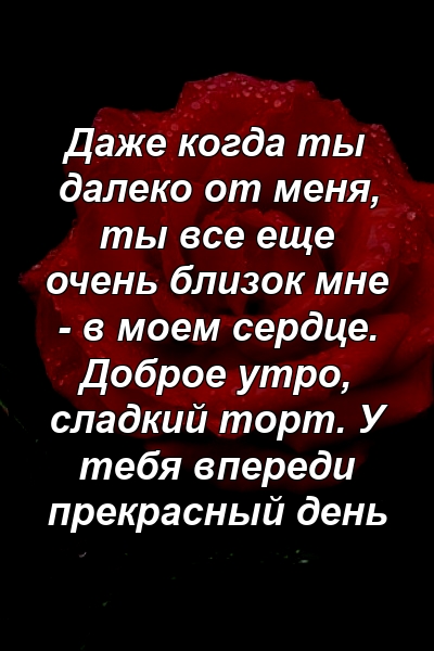 Даже когда ты далеко от меня, ты все еще очень близок мне - в моем сердце. Доброе утро, сладкий торт. У тебя впереди прекрасный день