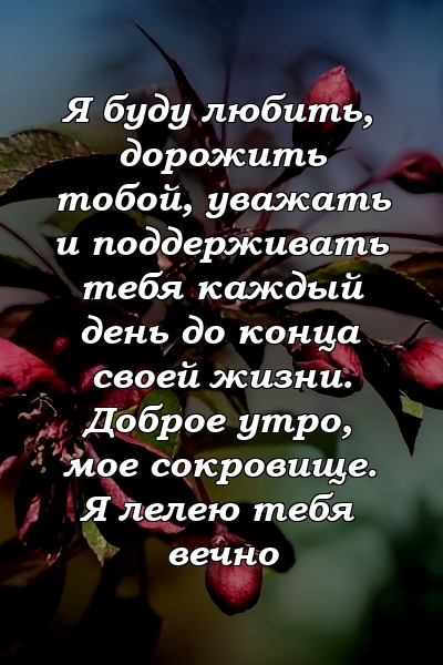 Я буду любить, дорожить тобой, уважать и поддерживать тебя каждый день до конца своей жизни. Доброе утро, мое сокровище. Я лелею тебя вечно