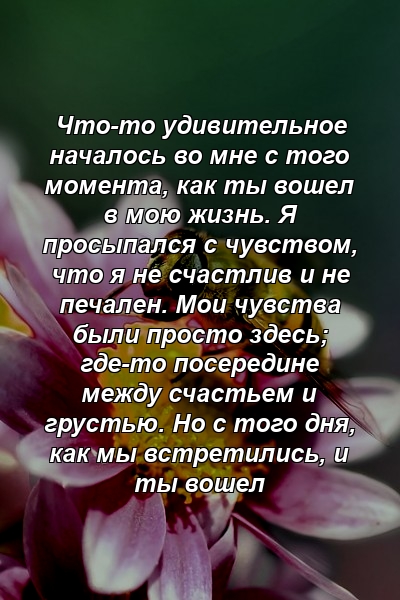 Что-то удивительное началось во мне с того момента, как ты вошел в мою жизнь. Я просыпался с чувством, что я не счастлив и не печален. Мои чувства были просто здесь; где-то посередине между счастьем и грустью. Но с того дня, как мы встретились, и ты вошел