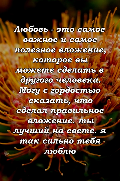 Любовь - это самое важное и самое полезное вложение, которое вы можете сделать в другого человека. Могу с гордостью сказать, что сделал правильное вложение. ты лучший на свете. я так сильно тебя люблю