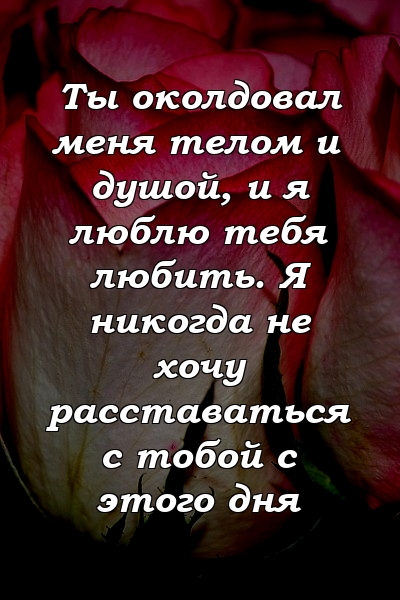 Ты околдовал меня телом и душой, и я люблю тебя любить. Я никогда не хочу расставаться с тобой с этого дня