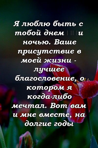 Я люблю быть с тобой днем ​​и ночью. Ваше присутствие в моей жизни - лучшее благословение, о котором я когда-либо мечтал. Вот вам и мне вместе, на долгие годы