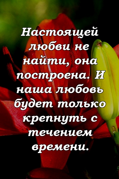 Настоящей любви не найти, она построена. И наша любовь будет только крепнуть с течением времени.