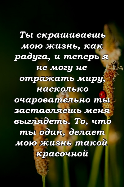 Ты скрашиваешь мою жизнь, как радуга, и теперь я не могу не отражать миру, насколько очаровательно ты заставляешь меня выглядеть. То, что ты один, делает мою жизнь такой красочной