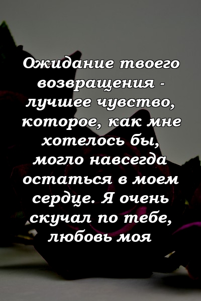 Ожидание твоего возвращения - лучшее чувство, которое, как мне хотелось бы, могло навсегда остаться в моем сердце. Я очень скучал по тебе, любовь моя