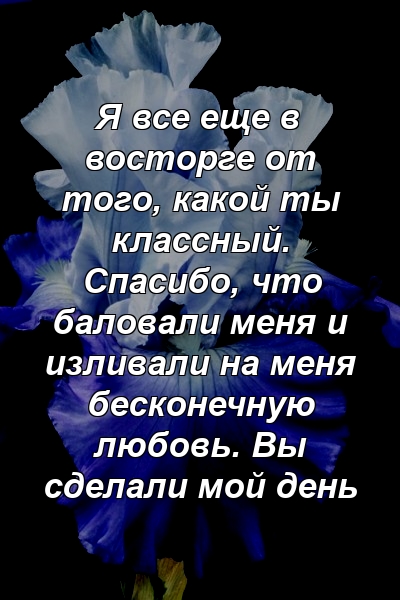 Я все еще в восторге от того, какой ты классный. Спасибо, что баловали меня и изливали на меня бесконечную любовь. Вы сделали мой день