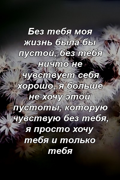 Без тебя моя жизнь была бы пустой, без тебя ничто не чувствует себя хорошо, я больше не хочу этой пустоты, которую чувствую без тебя, я просто хочу тебя и только тебя