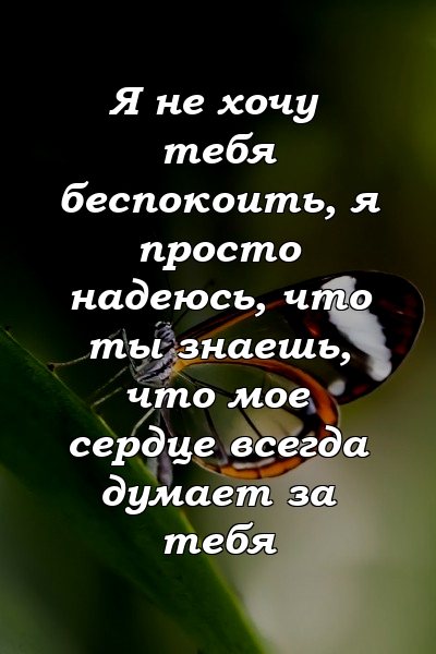 Я не хочу тебя беспокоить, я просто надеюсь, что ты знаешь, что мое сердце всегда думает за тебя