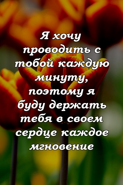 Я хочу проводить с тобой каждую минуту, поэтому я буду держать тебя в своем сердце каждое мгновение