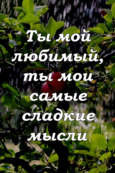 Ты мой любимый, ты мои самые сладкие мысли