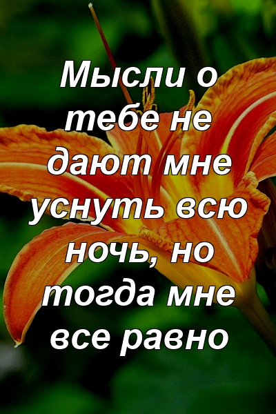 Мысли о тебе не дают мне уснуть всю ночь, но тогда мне все равно