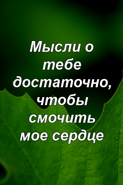 Мысли о тебе достаточно, чтобы смочить мое сердце