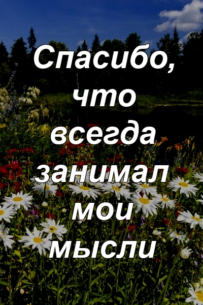 Спасибо, что всегда занимал мои мысли