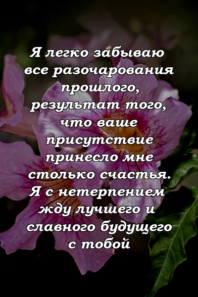 Я легко забываю все разочарования прошлого, результат того, что ваше присутствие принесло мне столько счастья. Я с нетерпением жду лучшего и славного будущего с тобой