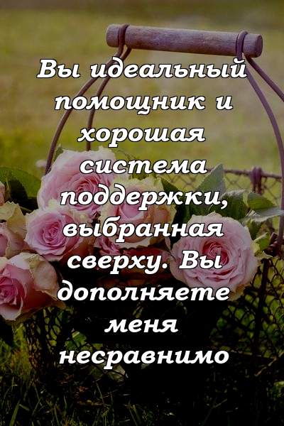 Вы идеальный помощник и хорошая система поддержки, выбранная сверху. Вы дополняете меня несравнимо