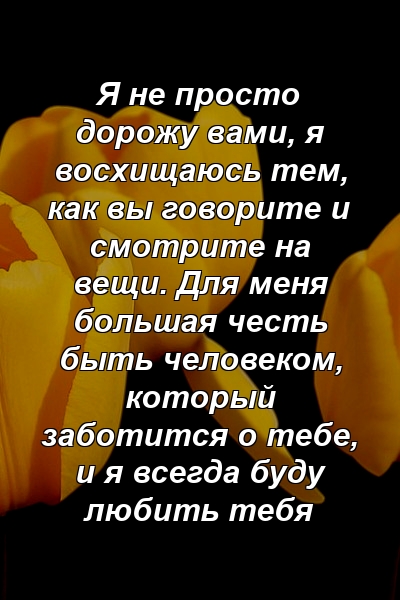 Я не просто дорожу вами, я восхищаюсь тем, как вы говорите и смотрите на вещи. Для меня большая честь быть человеком, который заботится о тебе, и я всегда буду любить тебя