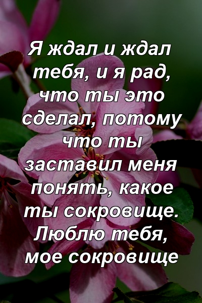 Я ждал и ждал тебя, и я рад, что ты это сделал, потому что ты заставил меня понять, какое ты сокровище. Люблю тебя, мое сокровище