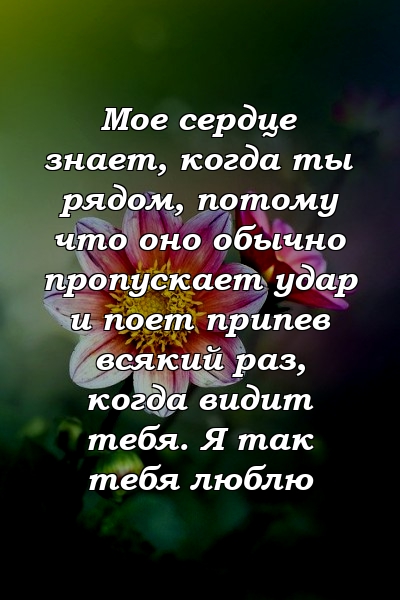 Мое сердце знает, когда ты рядом, потому что оно обычно пропускает удар и поет припев всякий раз, когда видит тебя. Я так тебя люблю