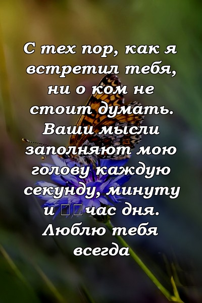 С тех пор, как я встретил тебя, ни о ком не стоит думать. Ваши мысли заполняют мою голову каждую секунду, минуту и ​​час дня. Люблю тебя всегда