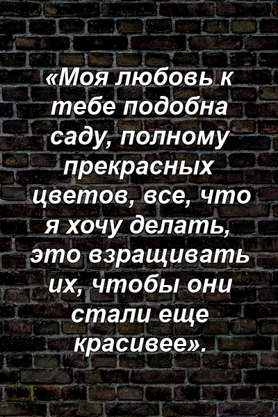 «Моя любовь к тебе подобна саду, полному прекрасных цветов, все, что я хочу делать, это взращивать их, чтобы они стали еще красивее».