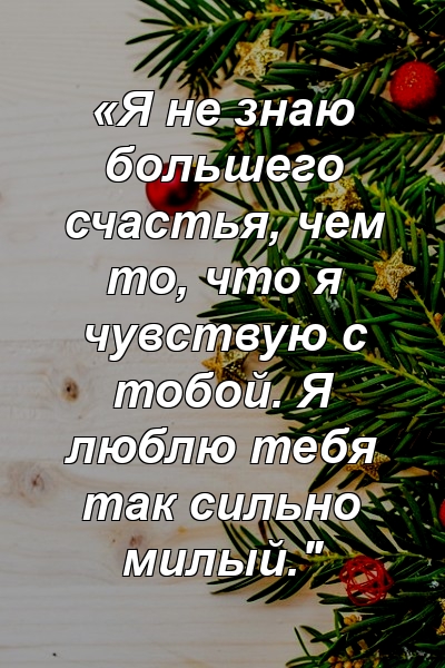 «Я не знаю большего счастья, чем то, что я чувствую с тобой. Я люблю тебя так сильно милый."