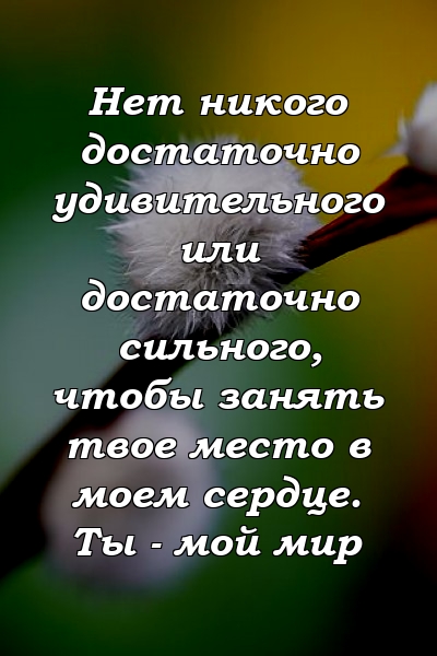 Нет никого достаточно удивительного или достаточно сильного, чтобы занять твое место в моем сердце. Ты - мой мир