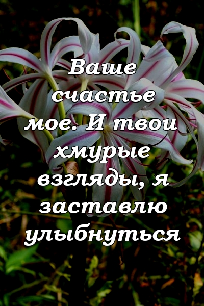 Ваше счастье мое. И твои хмурые взгляды, я заставлю улыбнуться