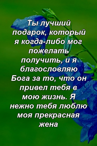 Ты лучший подарок, который я когда-либо мог пожелать получить, и я благословляю Бога за то, что он привел тебя в мою жизнь. Я нежно тебя люблю моя прекрасная жена